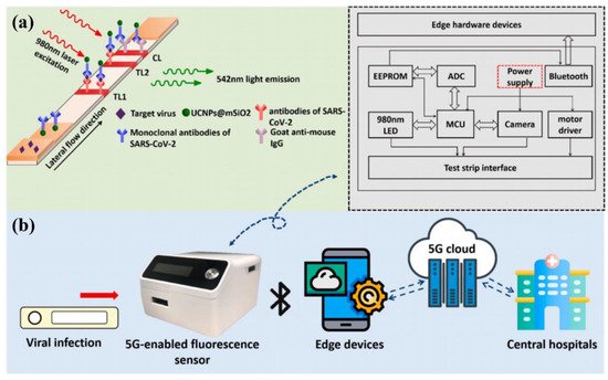 Biosensors 12 00862 g003 550