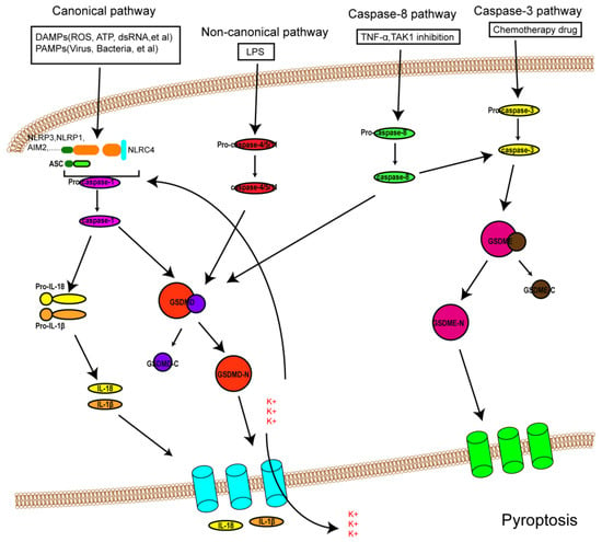 Biomolecules 12 01625 g001 550