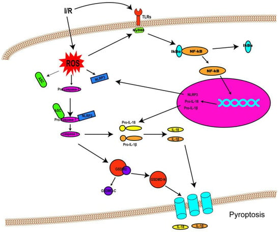 Biomolecules 12 01625 g002 550