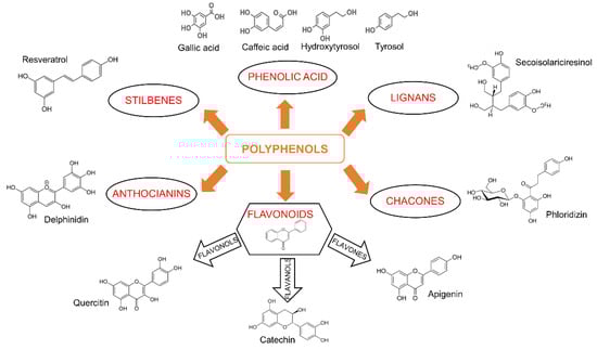 Cancers 14 05517 g001 550