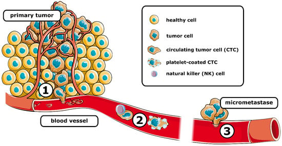 Cancers 14 05483 g001 550