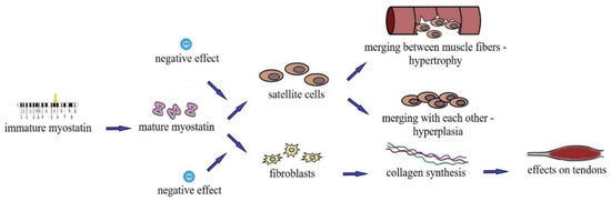 Genes 13 02055 g002 550