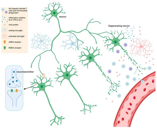 Microorganisms 10 02244 g001 550