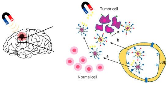 Cells 11 03761 g004 550