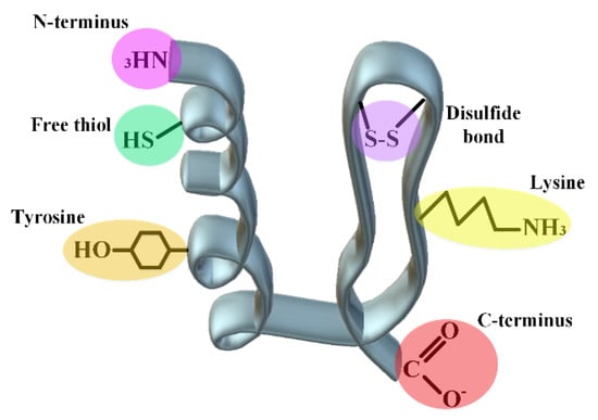 Pharmaceutics 14 02533 g007 550