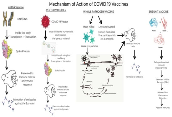 Diseases 10 00112 g002 550