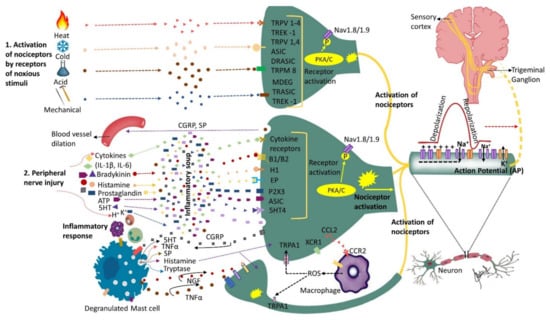 Biomolecules 12 01753 g001 550