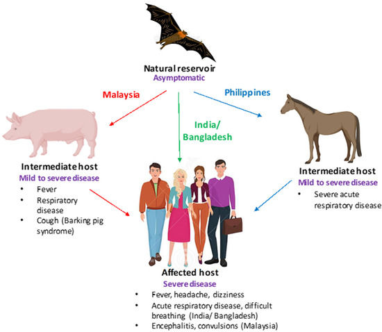 Pathogens 11 01419 g001 550