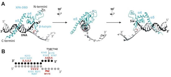 Cells 11 03723 g002 550