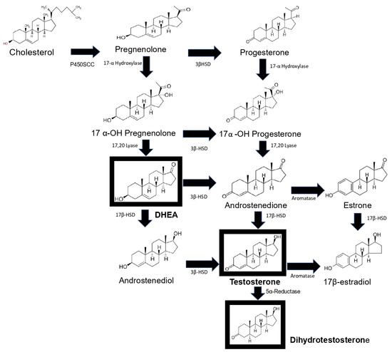 Biomolecules 12 01768 g001 550