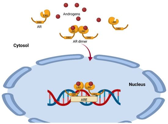 Biomolecules 12 01768 g002 550