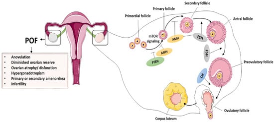 Cells 11 03713 g001 550