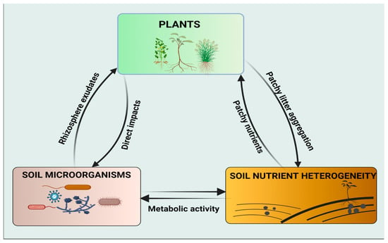 Microorganisms 10 02399 g003 550