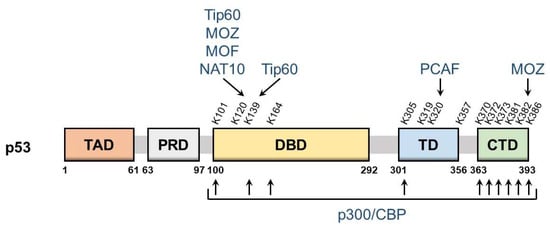 Cells 11 03825 g001 550