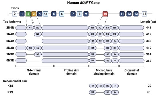 Biomolecules 12 01792 g001 550