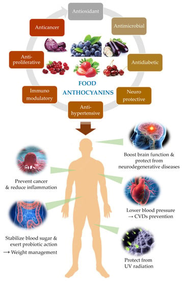 Anthocyanins and liver health