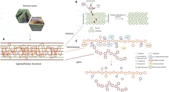 Ijms 23 15254 g003 550