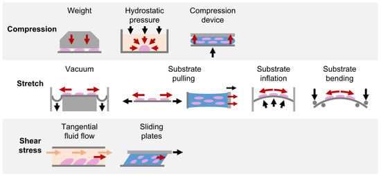 Nanomaterials 12 03878 g005 550