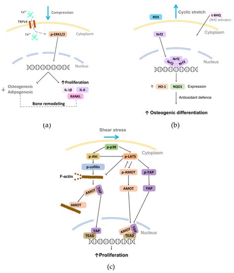 Nanomaterials 12 03878 g006 550