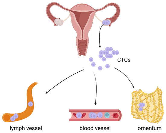 Biology of Circulating Tumor Cells | Encyclopedia MDPI