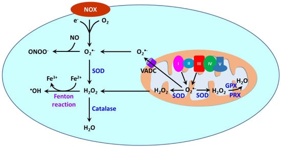 Antioxidants 11 02432 g003 550