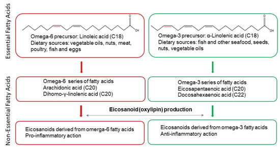 Metabolites 12 01238 g001 550