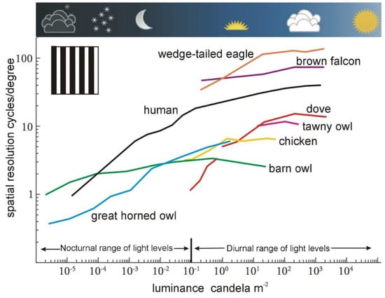 Birds 03 00028 g001 550