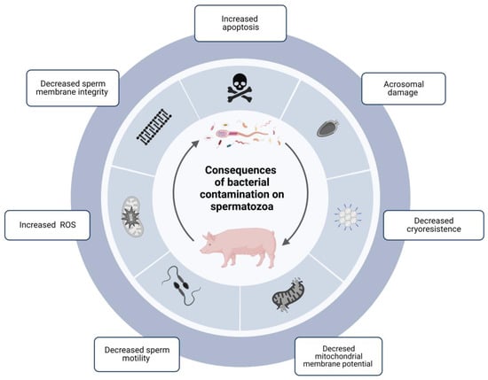 Antibiotics 11 01796 g001 550