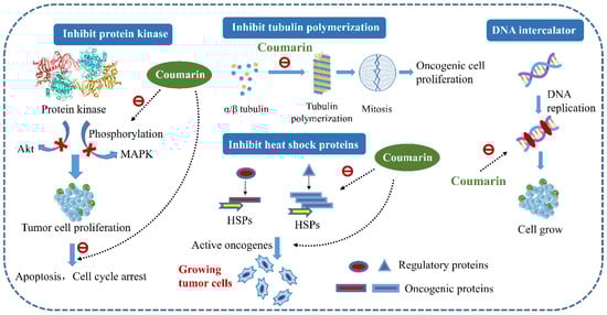 Molecules 27 08882 g011 550