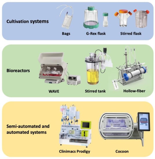 Bioengineering 09 00808 g001 550