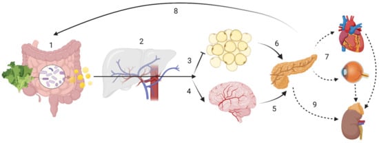 Nutrients 14 05361 g001 550