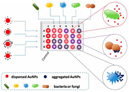 Biosensors 12 01155 g002 550