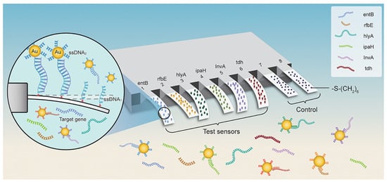 Biosensors 12 01155 g003 550