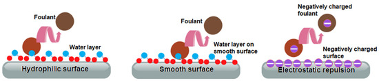 Membranes 12 01276 g002 550