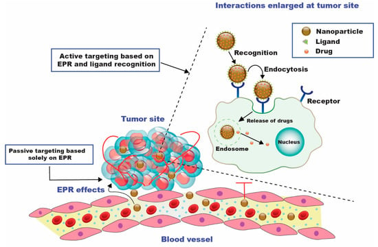 Cancers 15 00065 g002 550