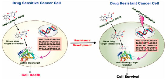 Cancers 15 00065 g004 550