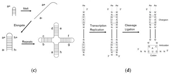 Ijms 24 00197 g002b 550