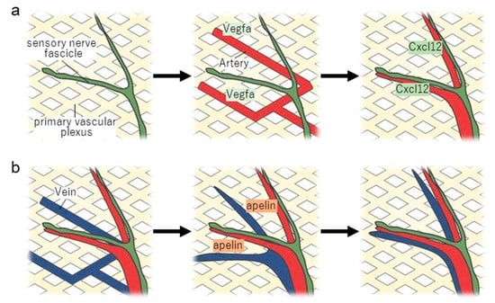 Life 13 00042 g002 550