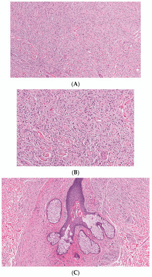 Dermatopathology 10 00001 g001 550