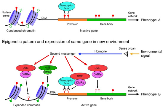 Epigenomes 07 00001 g001 550