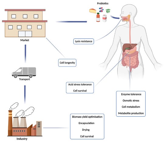 Microorganisms 11 00095 g001 550
