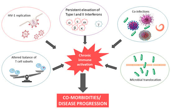 Biomedicines 11 00159 g001 550