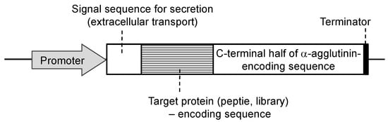 Microorganisms 11 00125 g002 550