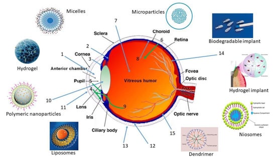 Pharmaceutics 15 00205 g001 550