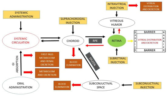 Pharmaceutics 15 00205 g002 550