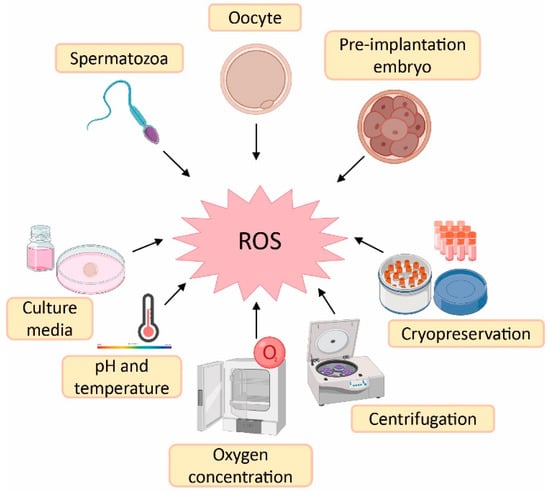 Antioxidants 12 00086 g002 550