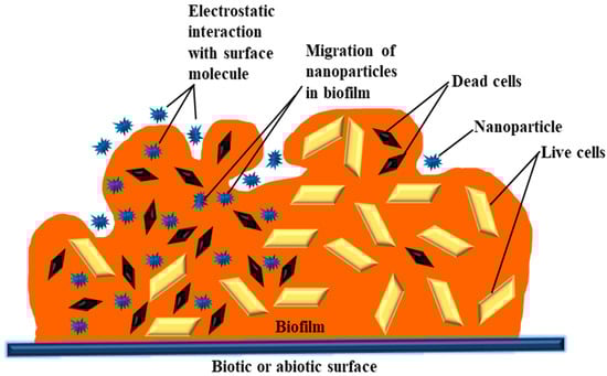 Life 13 00172 g001 550