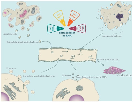 Pharmaceutics 15 00155 g001 550