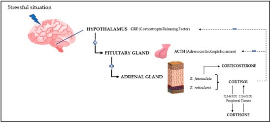 Metabolites 13 00106 g001 550