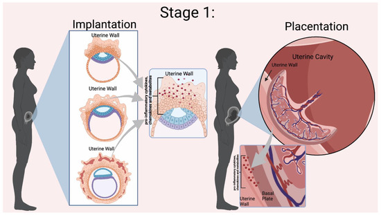 Biomedicines 11 00171 g002 550